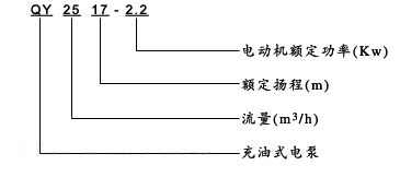 充油式潜水电泵